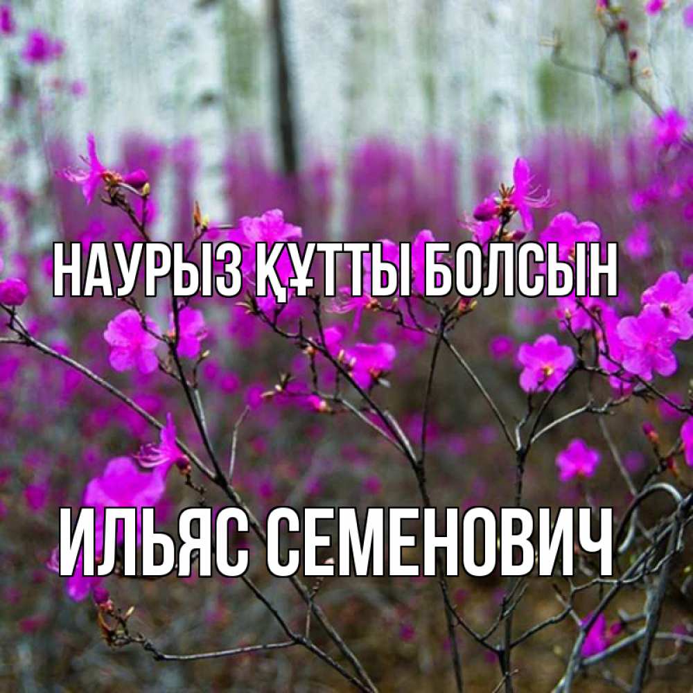 Картинка Наурыз құтты болсын, Ильяс Семенович