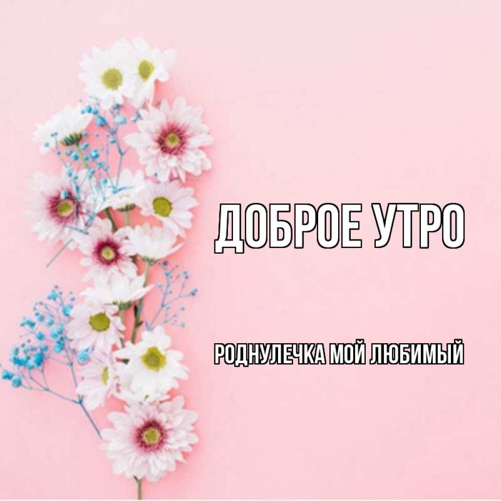 Моей роднулечке картинки