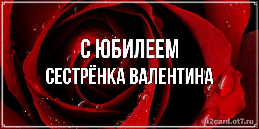 Открытка на каждый день с именем, Сестрёнка-Валентина С юбилеем крупная бордовая роза Прикольная открытка с пожеланием онлайн скачать бесплатно 