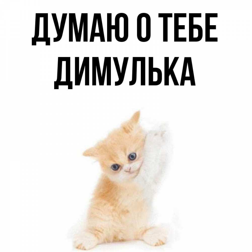 Привет димулька картинки