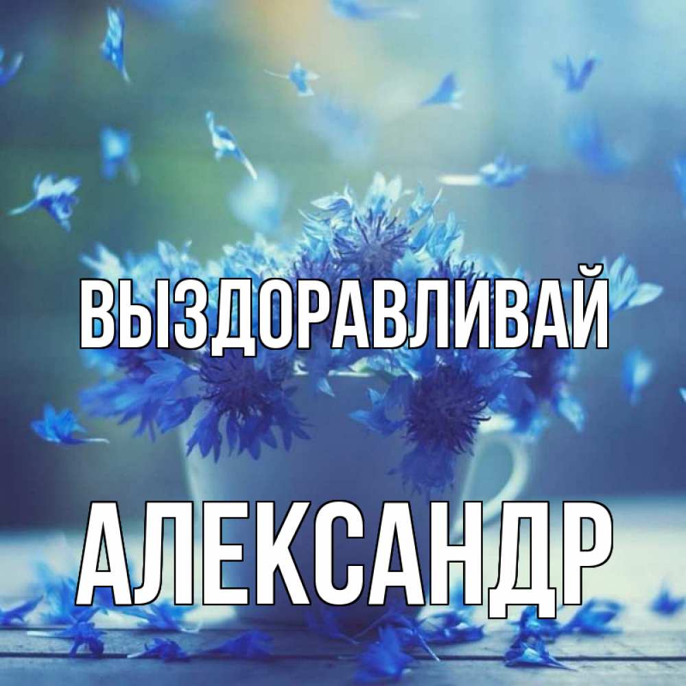 Открытка на каждый день с именем, Александр Выздоравливай кружка с зельем и цветами Прикольная открытка с пожеланием онлайн скачать бесплатно 