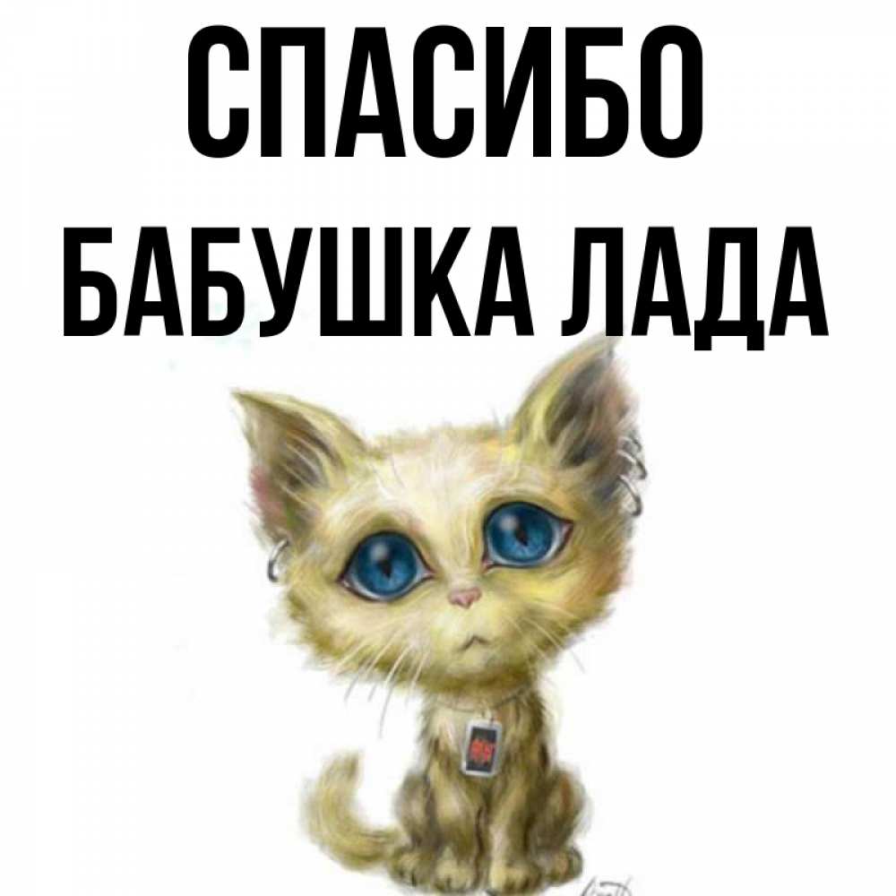 Открытка на каждый день с именем, Бабушка-Лада Спасибо рисованный кот благодарит вас Прикольная открытка с пожеланием онлайн скачать бесплатно 