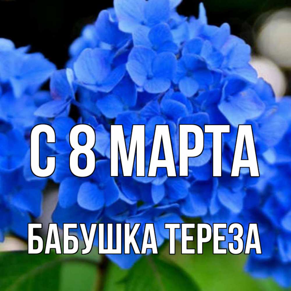 Открытка на каждый день с именем, Бабушка-Тереза С 8 марта синие цветы Прикольная открытка с пожеланием онлайн скачать бесплатно 