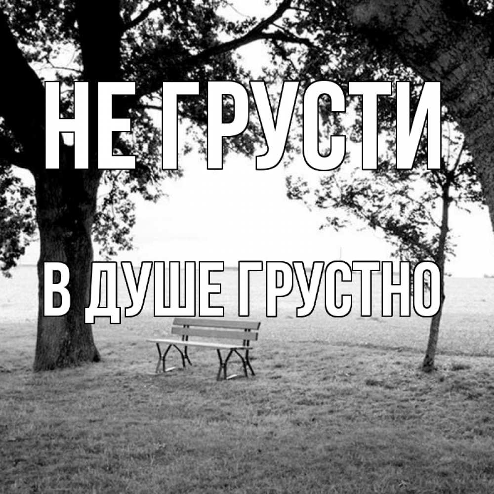 Открытка на каждый день с именем, В-душе-грустно Не грусти мощное дерево Прикольная открытка с пожеланием онлайн скачать бесплатно 