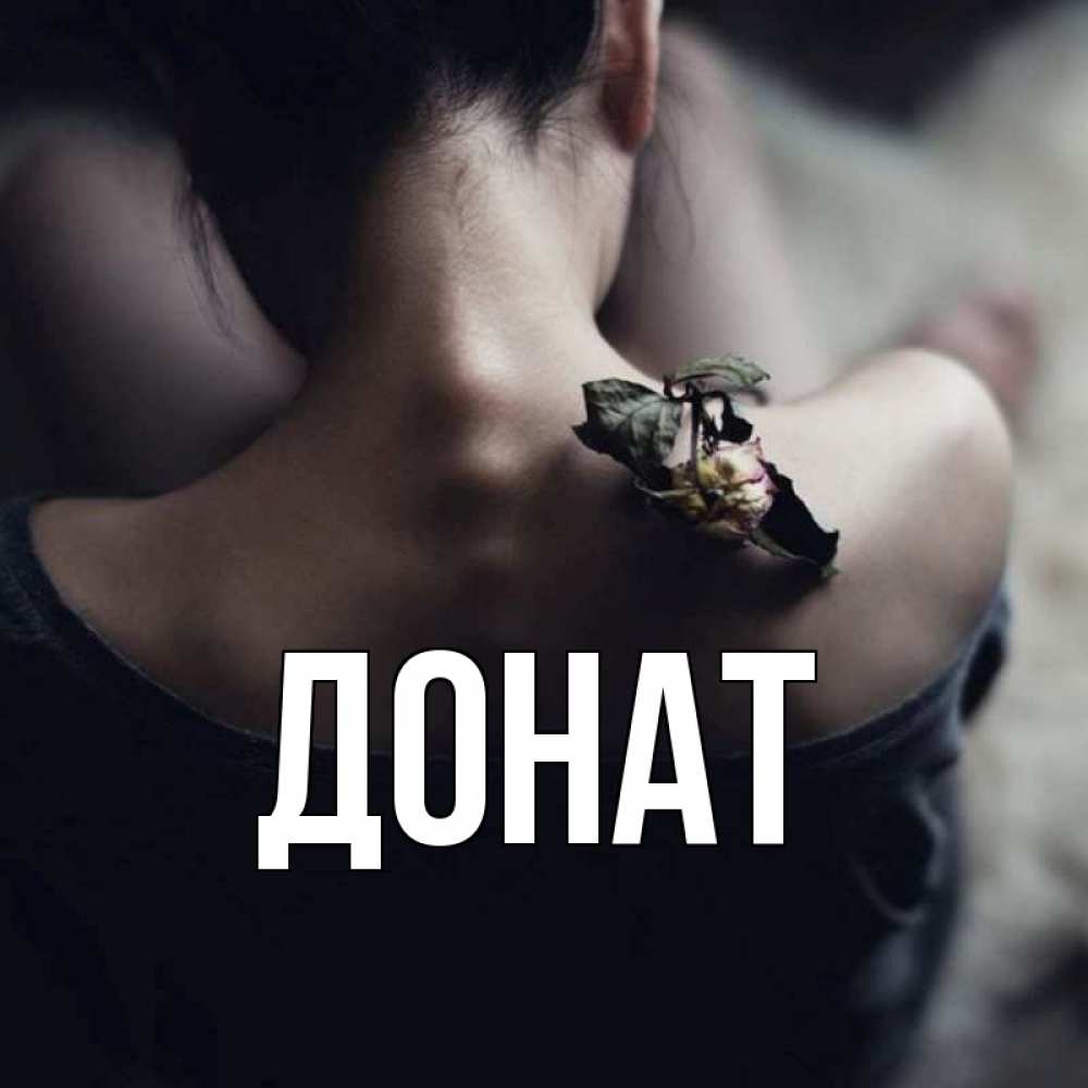 Открытка на каждый день с именем, Донат Главная засох цветок Прикольная открытка с пожеланием онлайн скачать бесплатно 