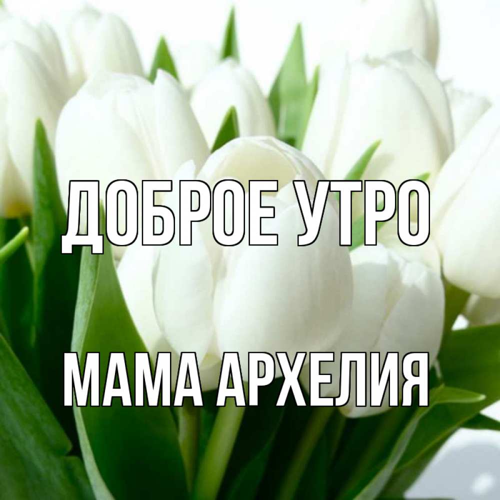 Открытка на каждый день с именем, Мама-Архелия Доброе утро открытки на каждый день по именам Прикольная открытка с пожеланием онлайн скачать бесплатно 