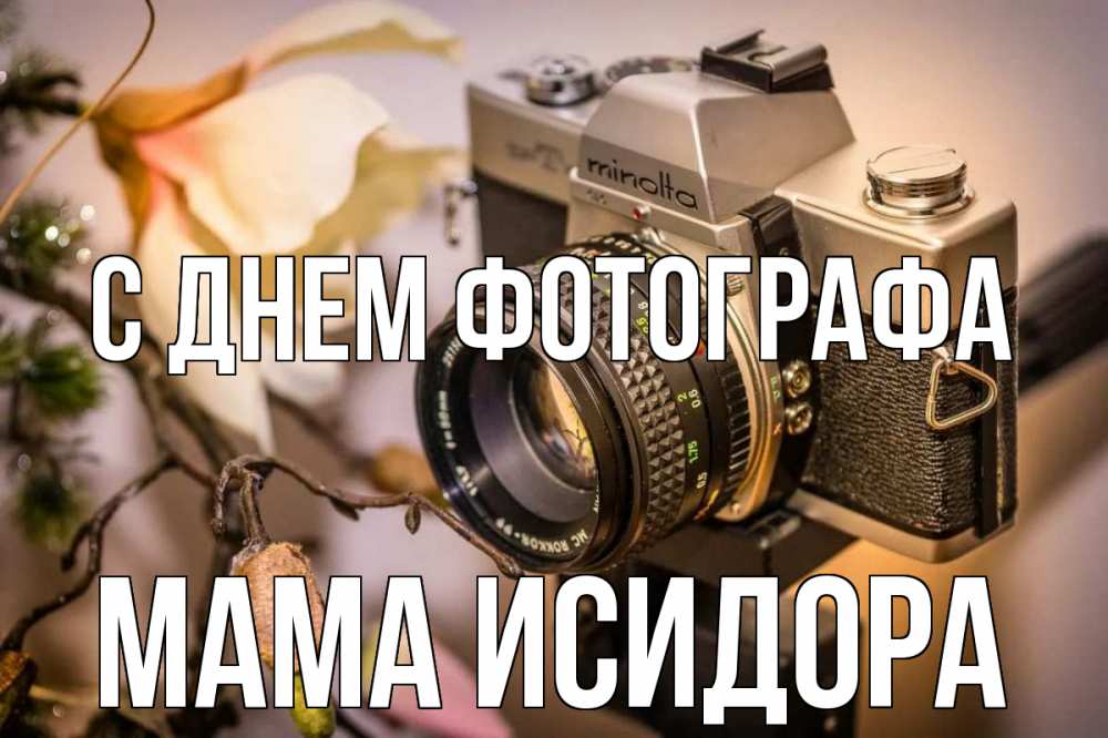 Открытка на каждый день с именем, Мама-Исидора С днем фотографа с днем фотографа 1 Прикольная открытка с пожеланием онлайн скачать бесплатно 
