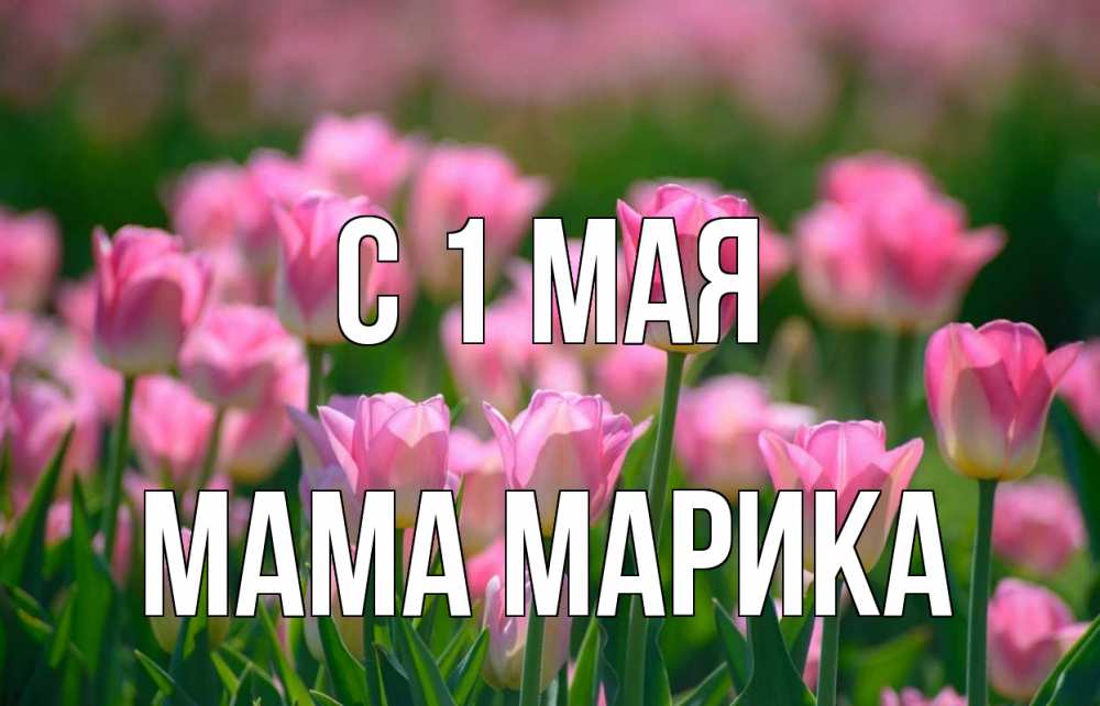 Открытка на каждый день с именем, Мама-Марика С 1 мая С 1 мая Прикольная открытка с пожеланием онлайн скачать бесплатно 