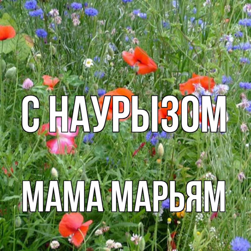 Открытка на каждый день с именем, Мама-Марьям С наурызом праздник весны наурыз супер открытка Прикольная открытка с пожеланием онлайн скачать бесплатно 