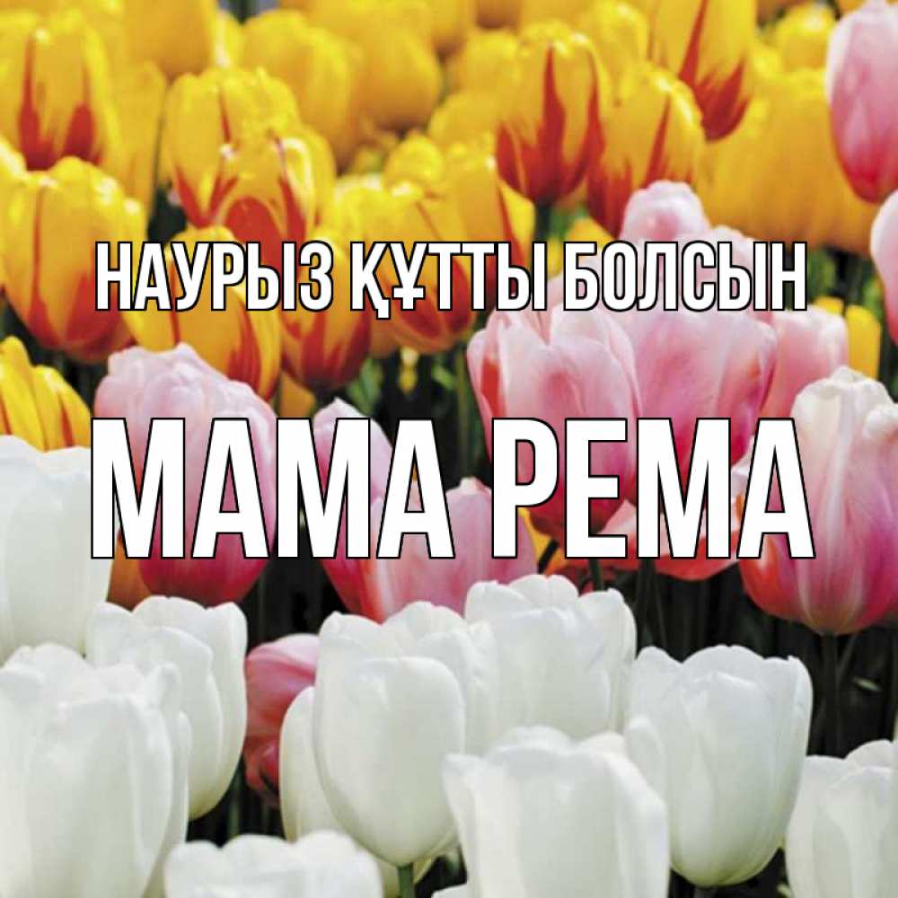 Открытка на каждый день с именем, Мама-Рема Наурыз құтты болсын разноцветные цветы Прикольная открытка с пожеланием онлайн скачать бесплатно 