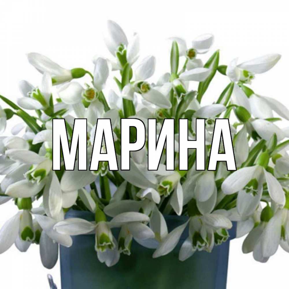 Открытка на каждый день с именем, Марина Главная цветы к наурызу новый год в Казахстане Прикольная открытка с пожеланием онлайн скачать бесплатно 