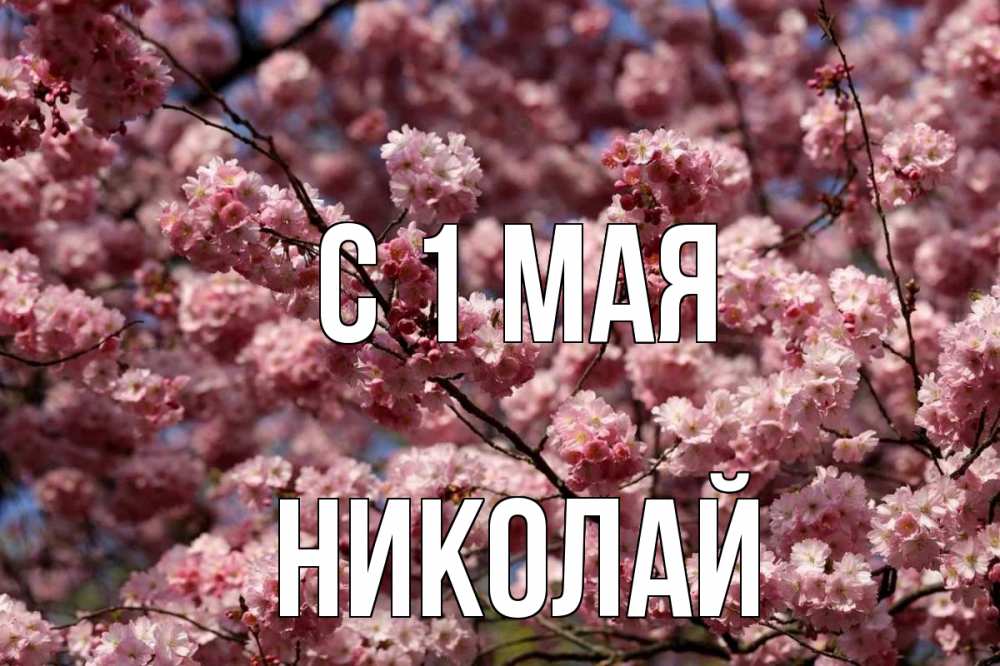 Открытка на каждый день с именем, Николай С 1 мая С 1 мая Прикольная открытка с пожеланием онлайн скачать бесплатно 