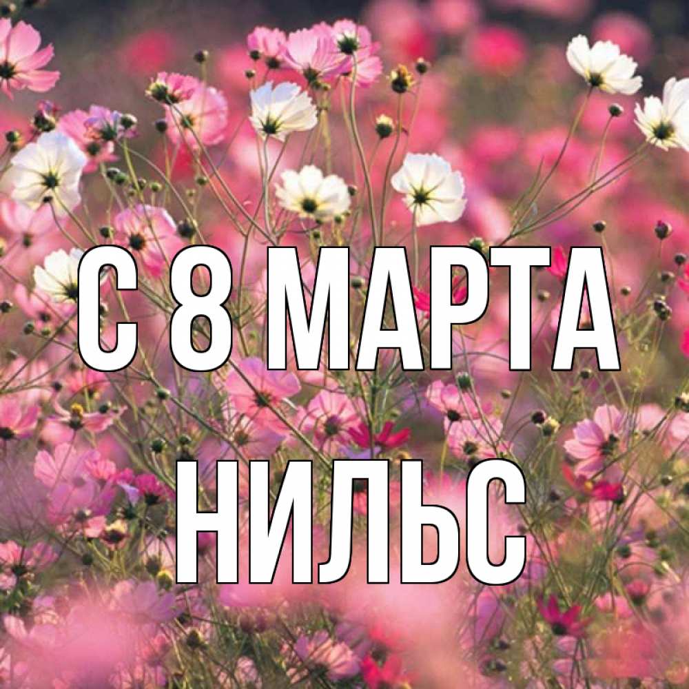 Открытка на каждый день с именем, Нильс С 8 МАРТА красиво 1 Прикольная открытка с пожеланием онлайн скачать бесплатно 