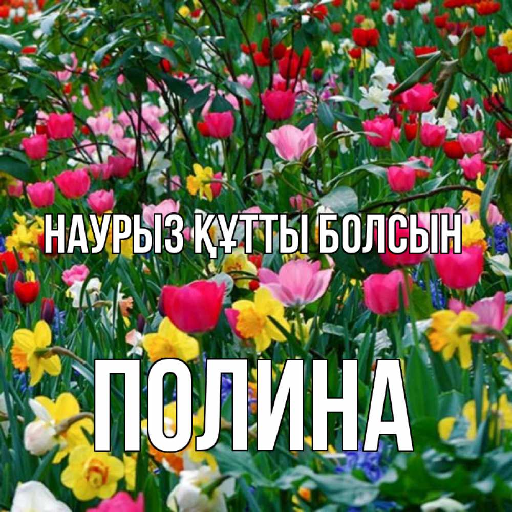 Открытка на каждый день с именем, Полина Наурыз құтты болсын с наурызом поздравления для женщины Прикольная открытка с пожеланием онлайн скачать бесплатно 