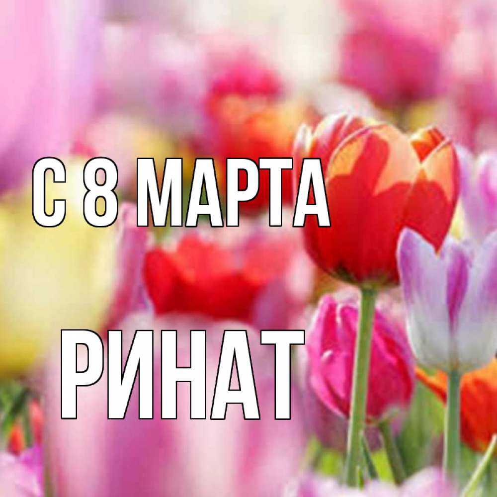 Открытка на каждый день с именем, Ринат С 8 марта на международный женский день 2 Прикольная открытка с пожеланием онлайн скачать бесплатно 