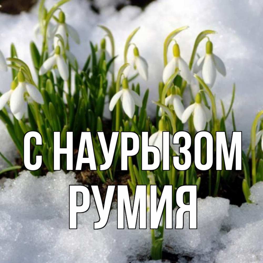 Открытка на каждый день с именем, Румия С наурызом цветы весенние Прикольная открытка с пожеланием онлайн скачать бесплатно 
