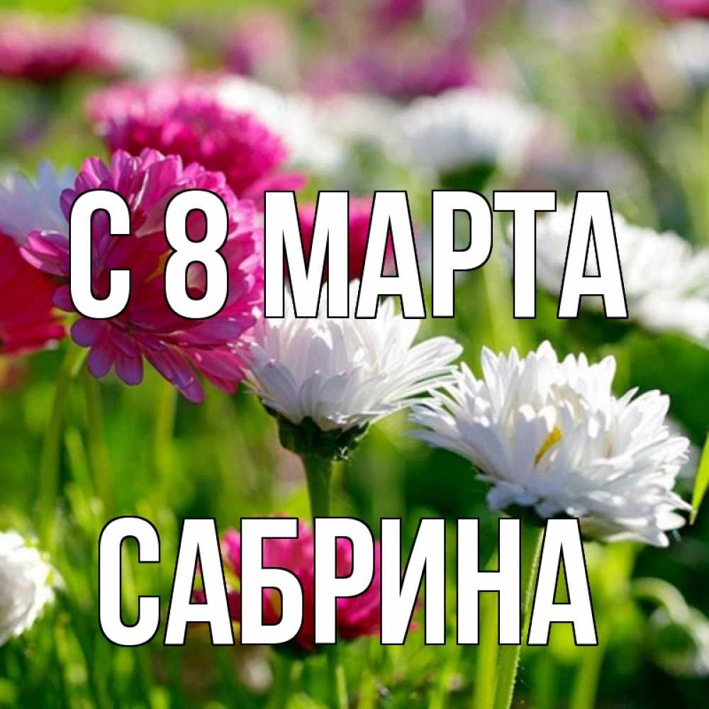 Открытка на каждый день с именем, Сабрина С 8 МАРТА международный женский день 1 Прикольная открытка с пожеланием онлайн скачать бесплатно 