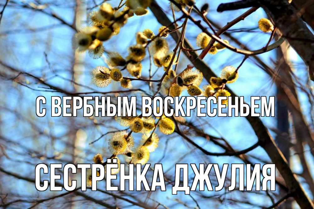 Открытка на каждый день с именем, Сестрёнка-Джулия С вербным воскресеньем верба Прикольная открытка с пожеланием онлайн скачать бесплатно 