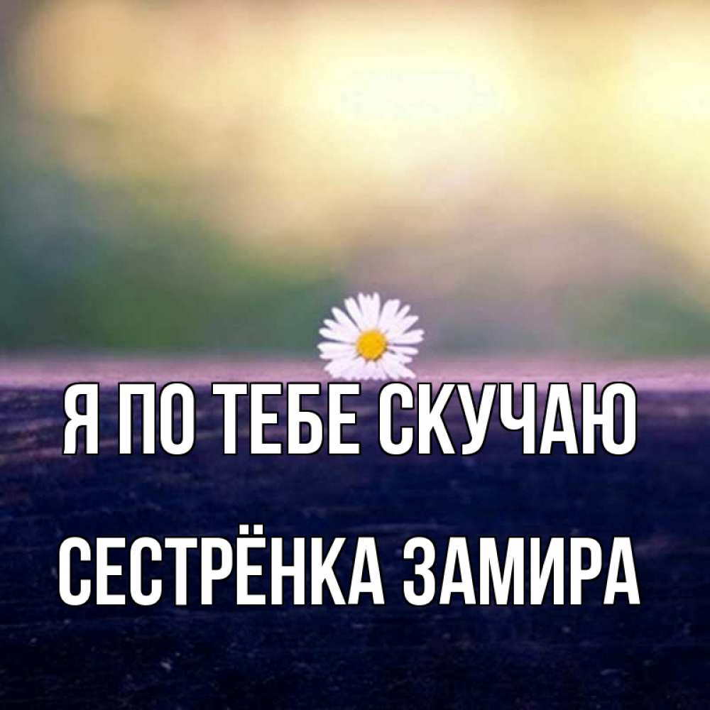 Открытка на каждый день с именем, Сестрёнка-Замира Я по тебе скучаю приходи в гости Прикольная открытка с пожеланием онлайн скачать бесплатно 