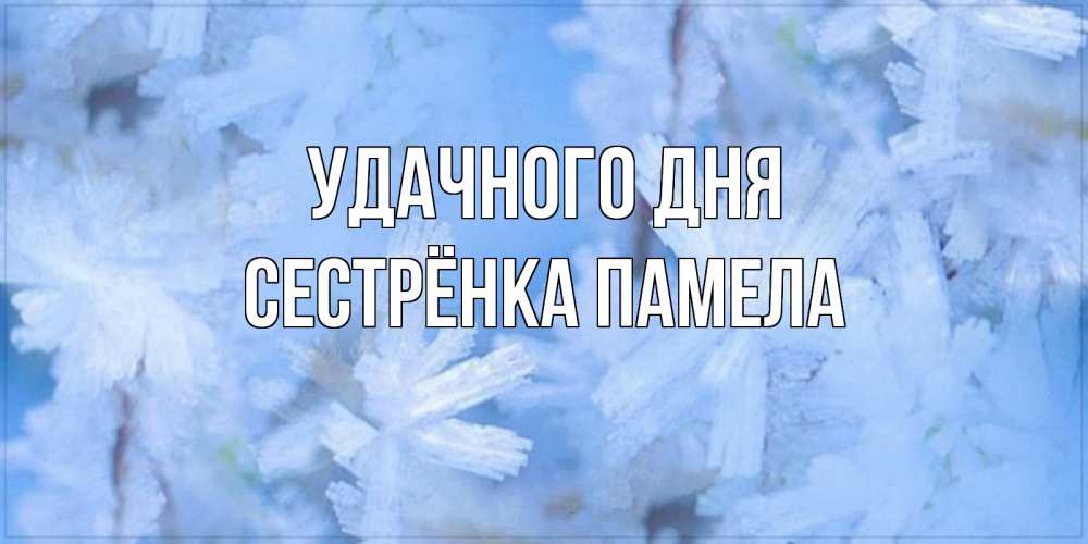 Открытка на каждый день с именем, Сестрёнка-Памела Удачного дня открытка на зимний день Прикольная открытка с пожеланием онлайн скачать бесплатно 