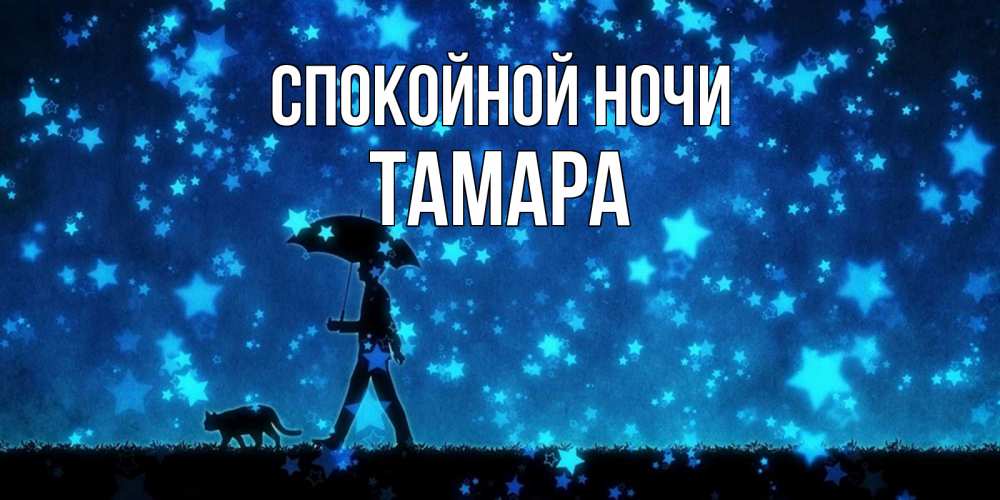 Открытка на каждый день с именем, Тамара Спокойной ночи ночные прогулки с котом под звездами Прикольная открытка с пожеланием онлайн скачать бесплатно 