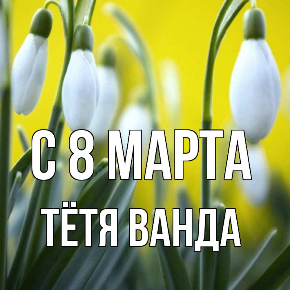 Открытка на каждый день с именем, Тётя-Ванда С 8 МАРТА весенние цветы Прикольная открытка с пожеланием онлайн скачать бесплатно 