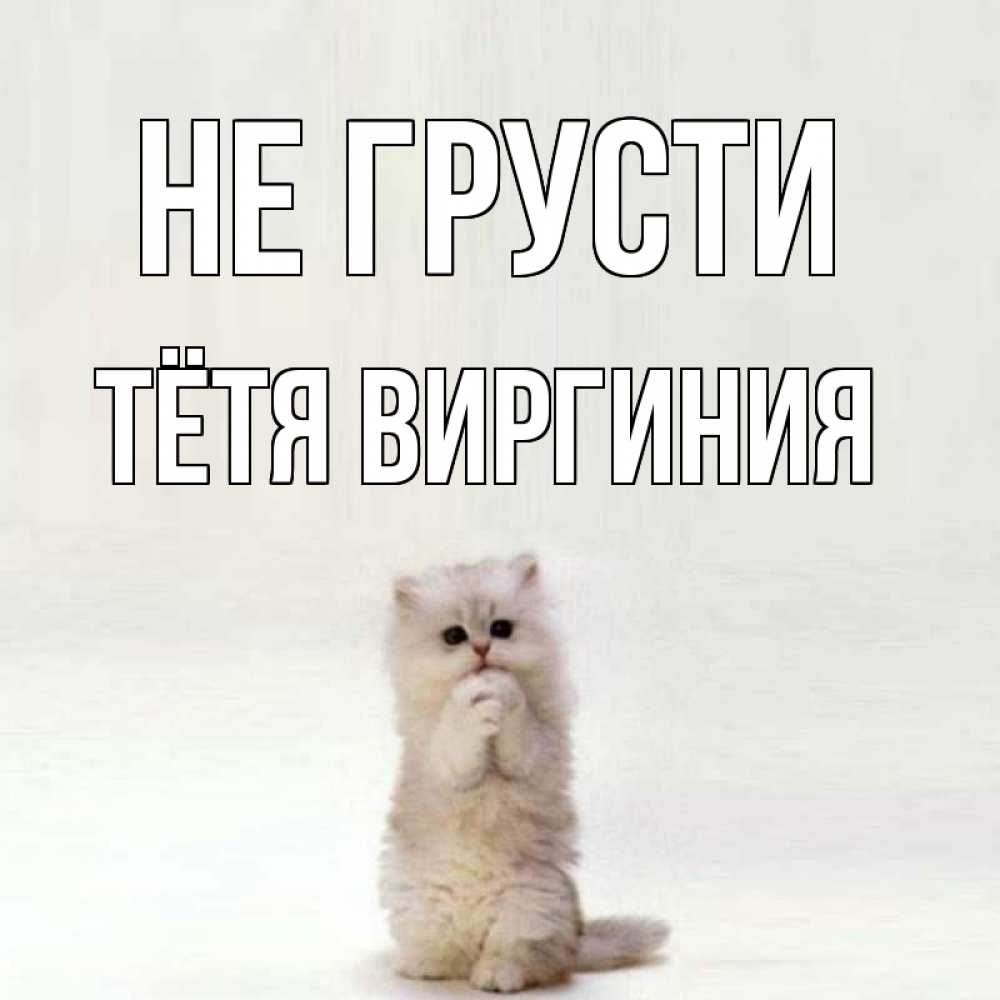 Открытка на каждый день с именем, Тётя-Виргиния Не грусти грустный кот Прикольная открытка с пожеланием онлайн скачать бесплатно 
