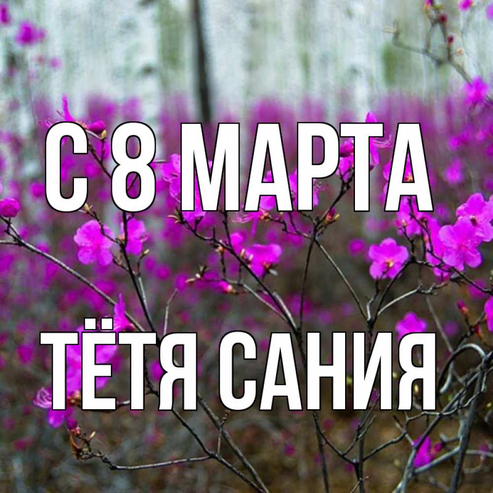 Открытка на каждый день с именем, Тётя-Сания С 8 МАРТА дикие цветы Прикольная открытка с пожеланием онлайн скачать бесплатно 