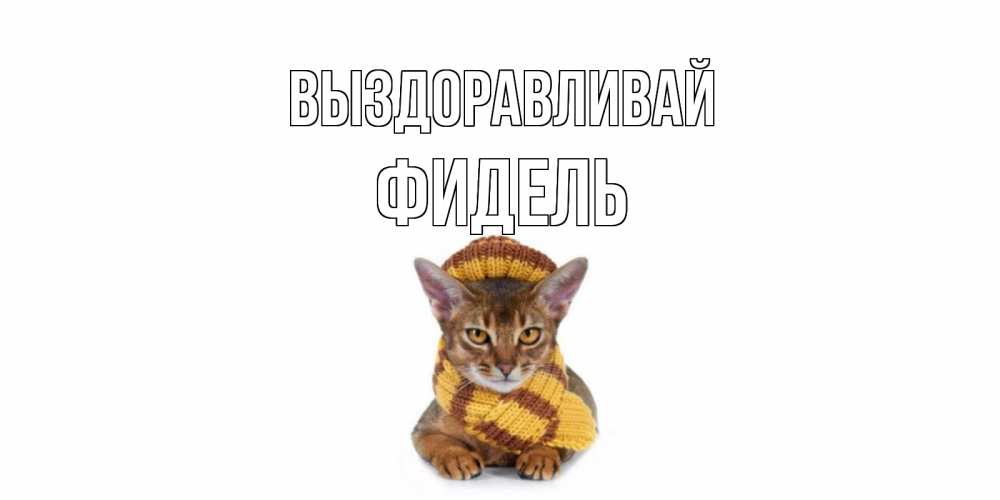 Открытка на каждый день с именем, Фидель Выздоравливай родные не болейте Прикольная открытка с пожеланием онлайн скачать бесплатно 