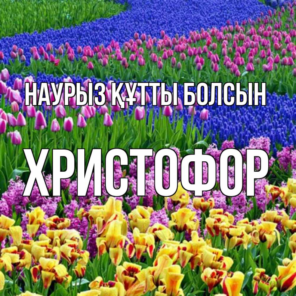 Открытка на каждый день с именем, Христофор Наурыз құтты болсын цветы Прикольная открытка с пожеланием онлайн скачать бесплатно 