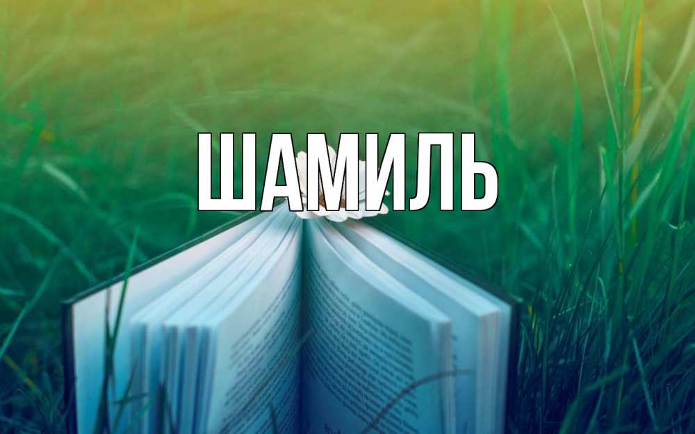 Открытка на каждый день с именем, Шамиль Главная с днем учителя Прикольная открытка с пожеланием онлайн скачать бесплатно 