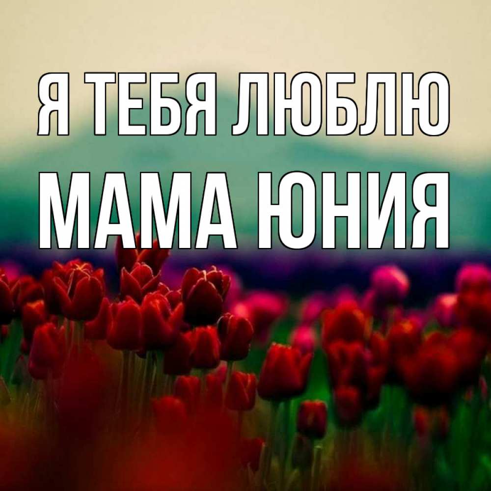Открытка на каждый день с именем, Мама-Юния Я тебя люблю тюльпаны 4 Прикольная открытка с пожеланием онлайн скачать бесплатно 