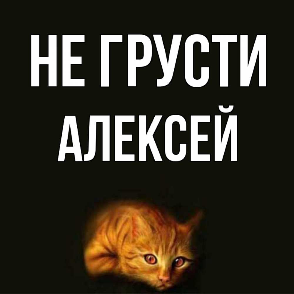 Открытка на каждый день с именем, Алексей Не грусти лежащий кот в темноте Прикольная открытка с пожеланием онлайн скачать бесплатно 