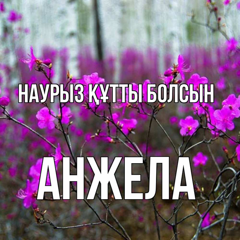 Открытка на каждый день с именем, Анжела Наурыз құтты болсын дикие цветы Прикольная открытка с пожеланием онлайн скачать бесплатно 
