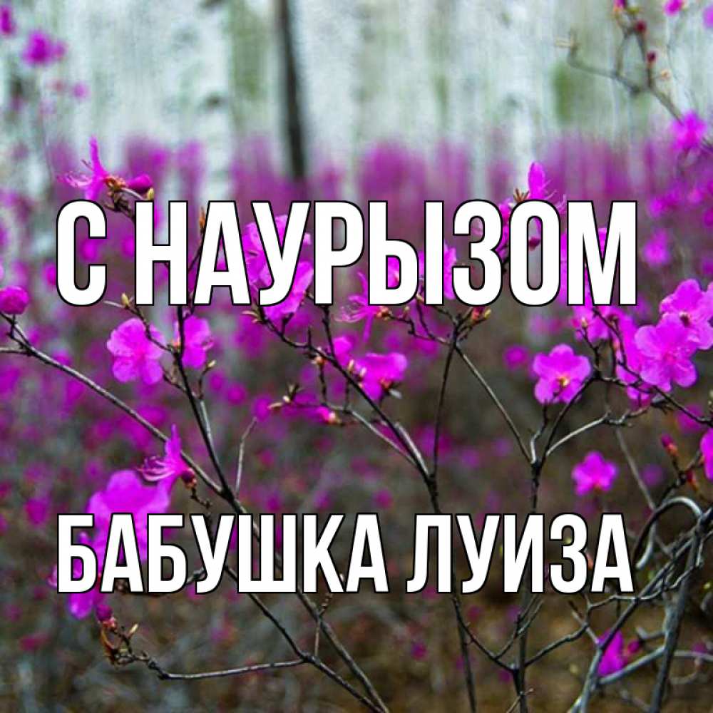 Открытка на каждый день с именем, Бабушка-Луиза С наурызом дикие цветы Прикольная открытка с пожеланием онлайн скачать бесплатно 