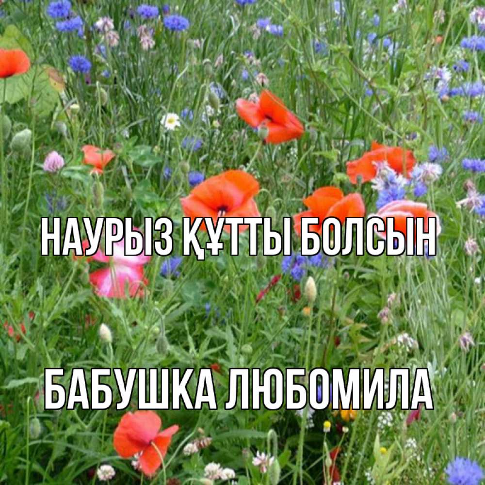 Открытка на каждый день с именем, Бабушка-Любомила Наурыз құтты болсын наурыз  4 Прикольная открытка с пожеланием онлайн скачать бесплатно 