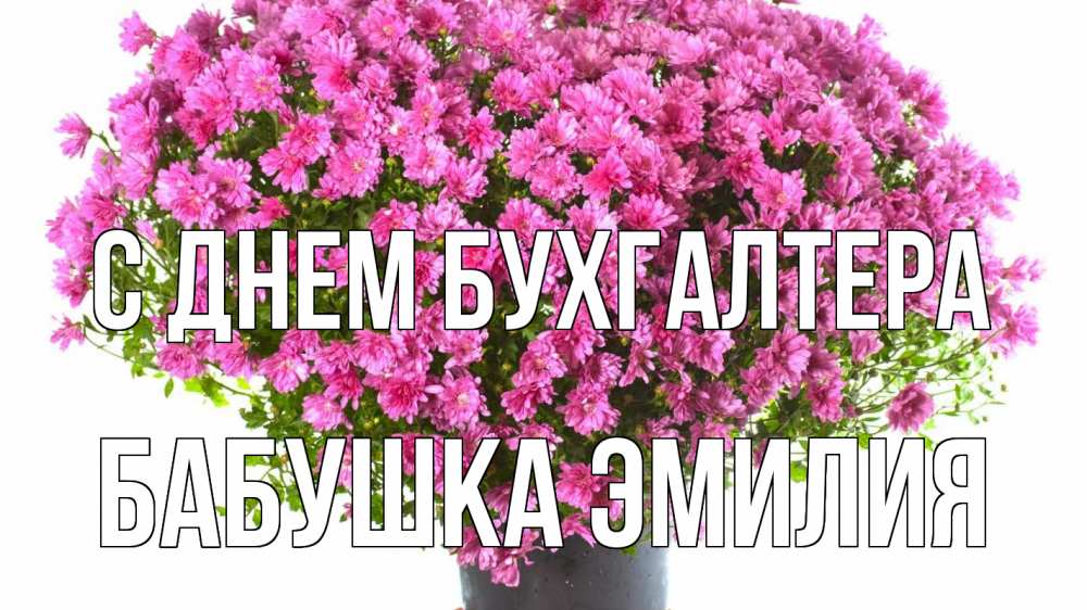 Открытка на каждый день с именем, Бабушка-Эмилия С днем бухгалтера с днем бухгалтера Прикольная открытка с пожеланием онлайн скачать бесплатно 