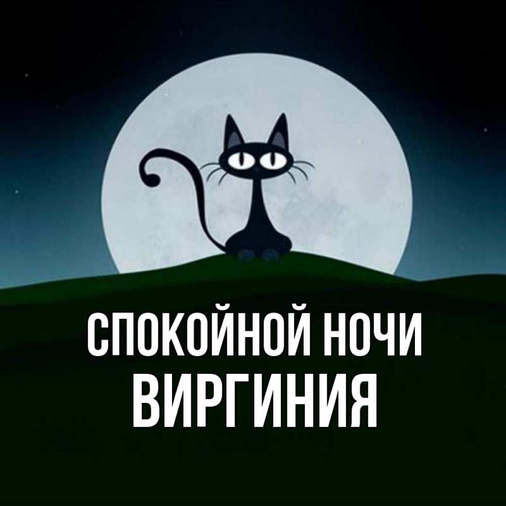 Открытка на каждый день с именем, Виргиния Спокойной ночи хорошо выспаться ночью и без кошмаров Прикольная открытка с пожеланием онлайн скачать бесплатно 