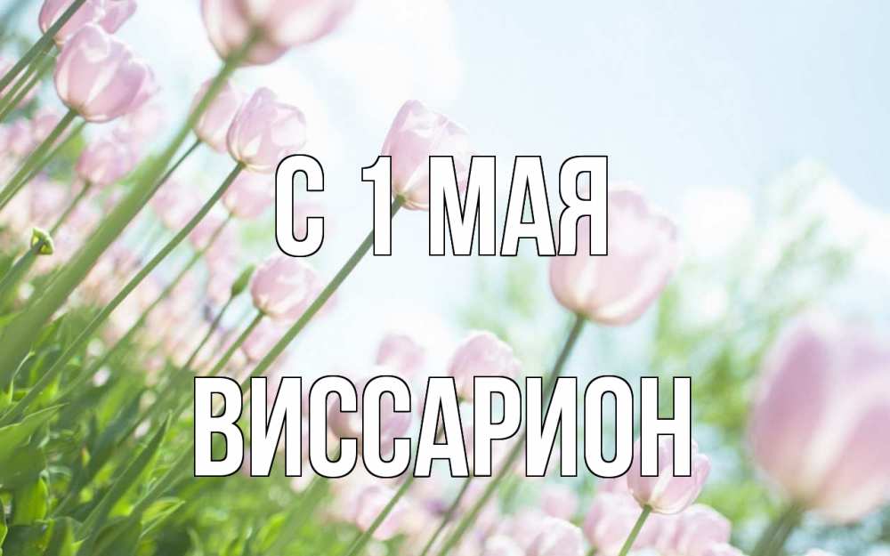 Открытка на каждый день с именем, Виссарион С 1 мая С 1 мая Прикольная открытка с пожеланием онлайн скачать бесплатно 
