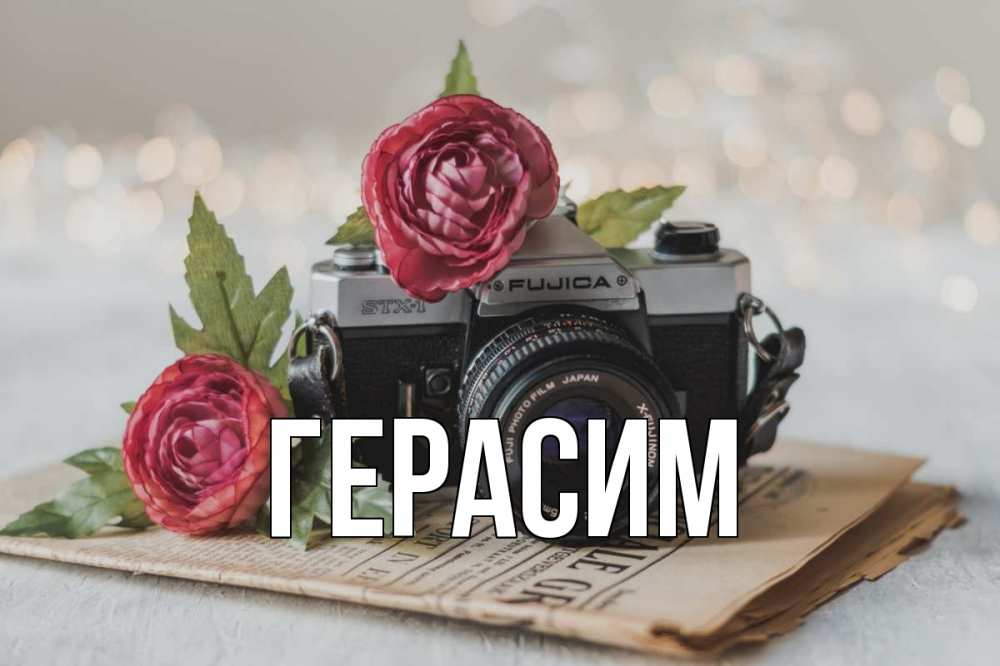 Открытка на каждый день с именем, Герасим Главная с днем фотографа Прикольная открытка с пожеланием онлайн скачать бесплатно 