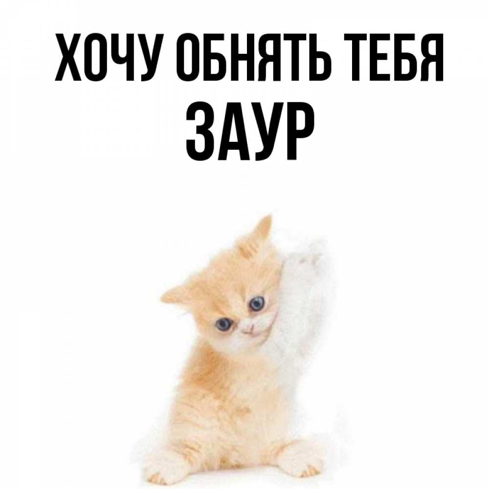 Открытка на каждый день с именем, Заур Хочу обнять тебя я хочу очень скорее обнимаешек Прикольная открытка с пожеланием онлайн скачать бесплатно 