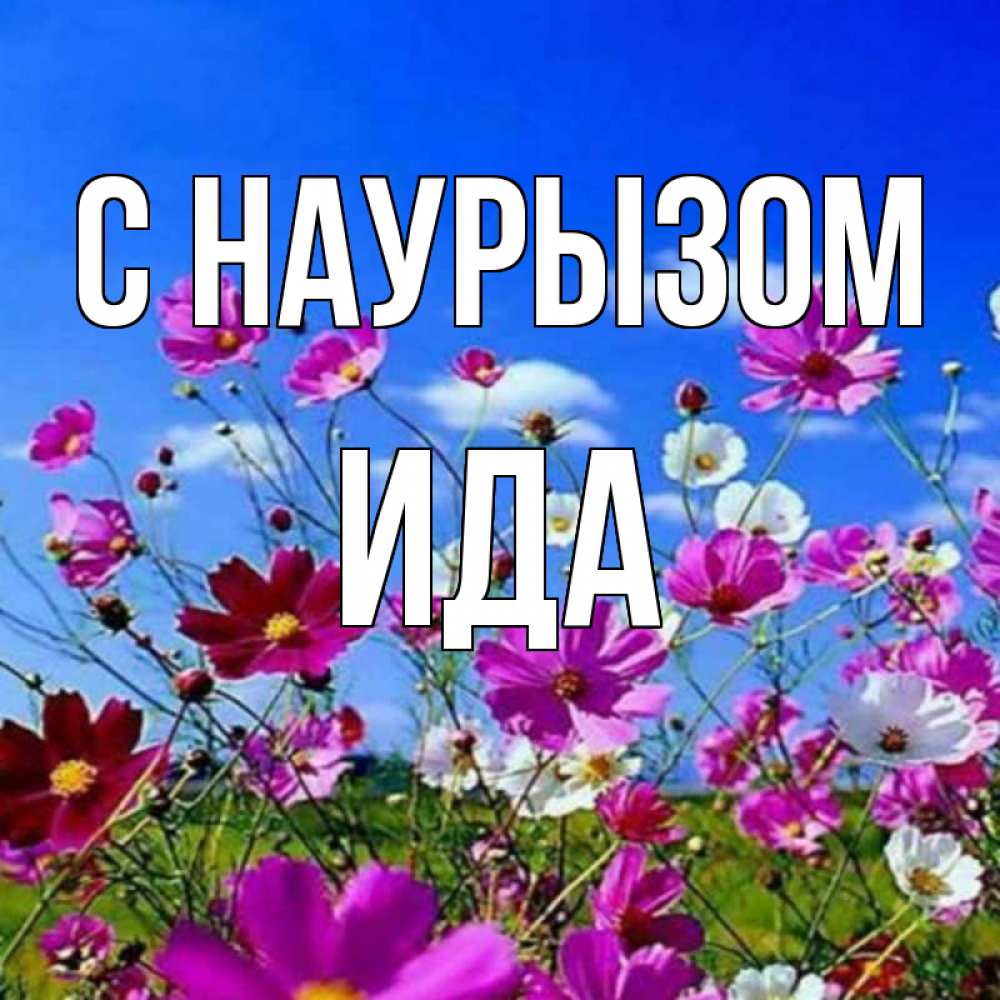 Открытка на каждый день с именем, Ида С наурызом цветы Прикольная открытка с пожеланием онлайн скачать бесплатно 