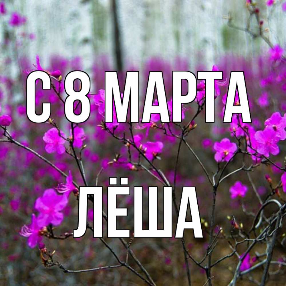 Открытка на каждый день с именем, Лёша С 8 МАРТА дикие цветы Прикольная открытка с пожеланием онлайн скачать бесплатно 