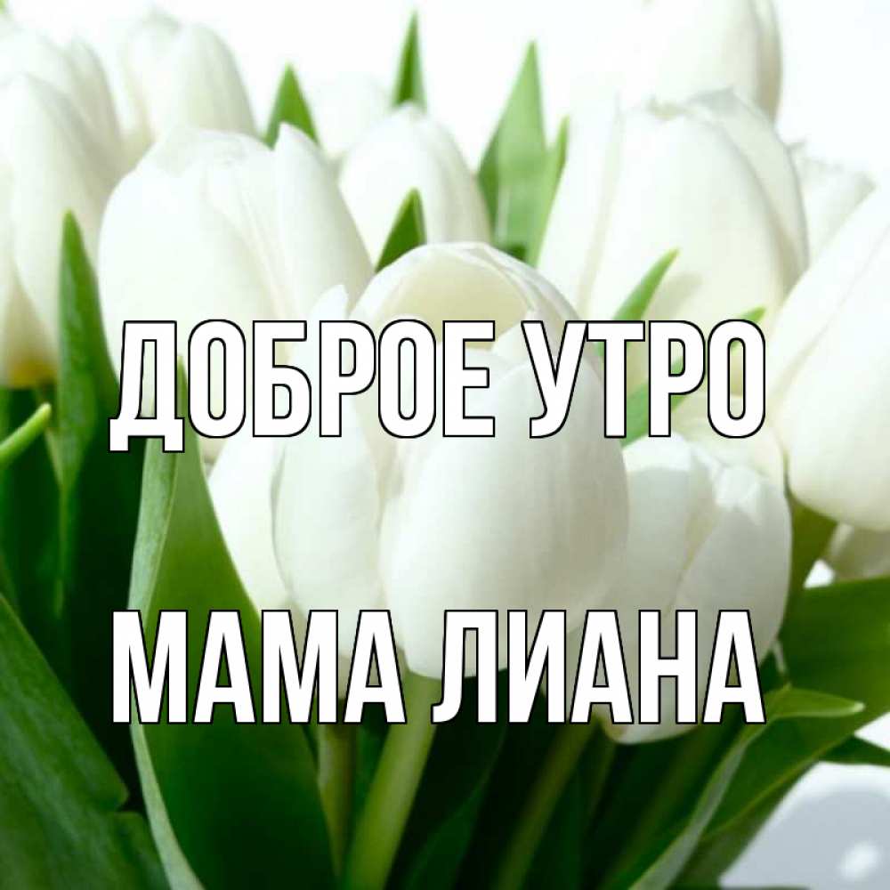Открытка на каждый день с именем, Мама-Лиана Доброе утро открытки на каждый день по именам Прикольная открытка с пожеланием онлайн скачать бесплатно 