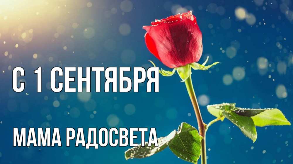 Открытка на каждый день с именем, Мама-Радосвета С 1 сентября с днем знаний Прикольная открытка с пожеланием онлайн скачать бесплатно 