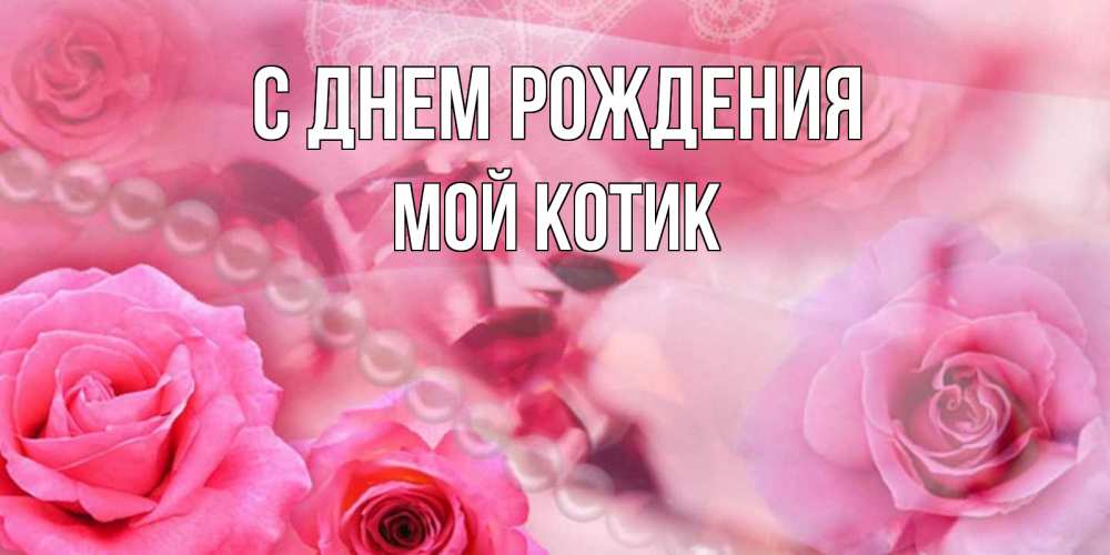 Открытка на каждый день с именем, Мой-Котик С днем рождения открытка с розами и жемчугом Прикольная открытка с пожеланием онлайн скачать бесплатно 