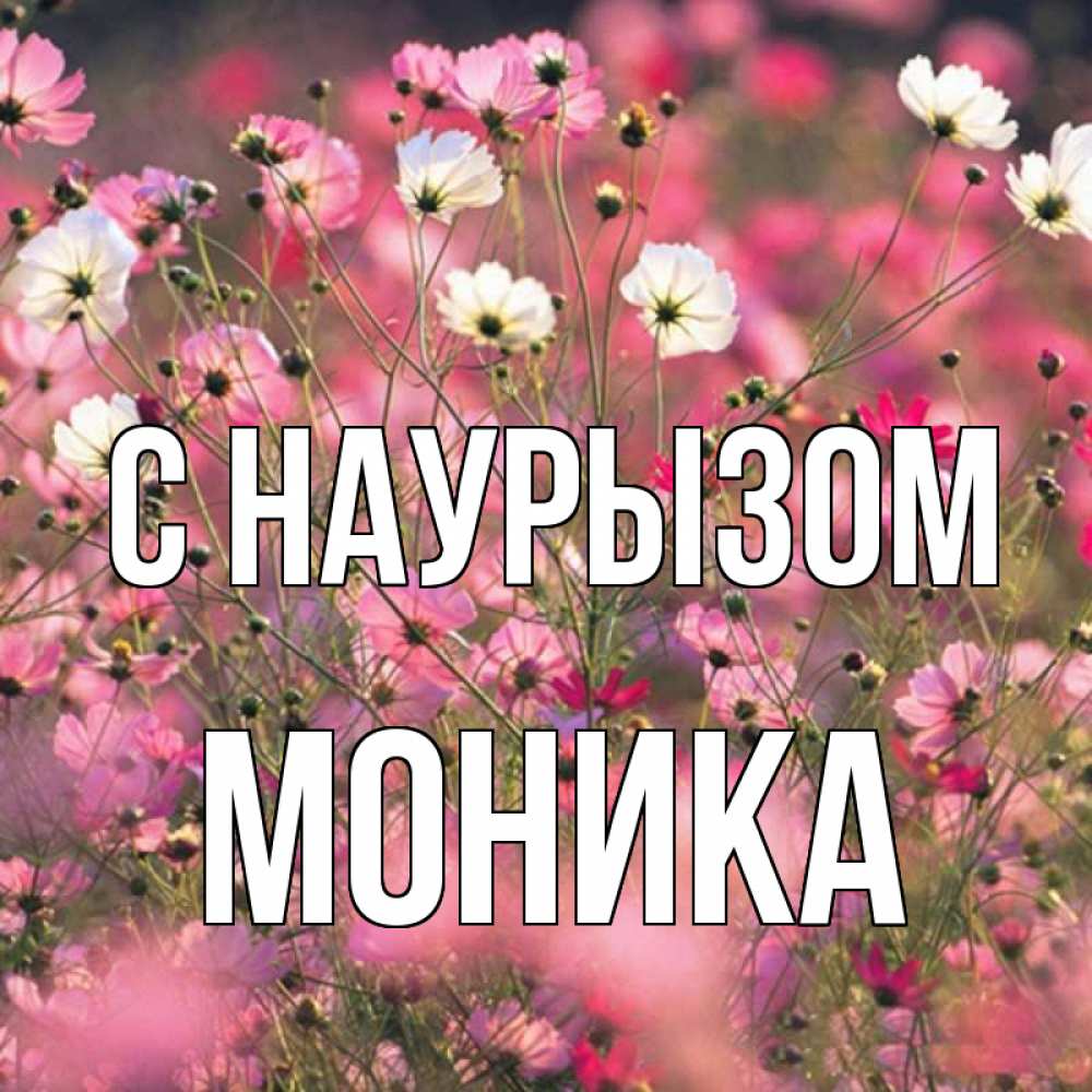 Открытка на каждый день с именем, Моника С наурызом красиво 1 Прикольная открытка с пожеланием онлайн скачать бесплатно 