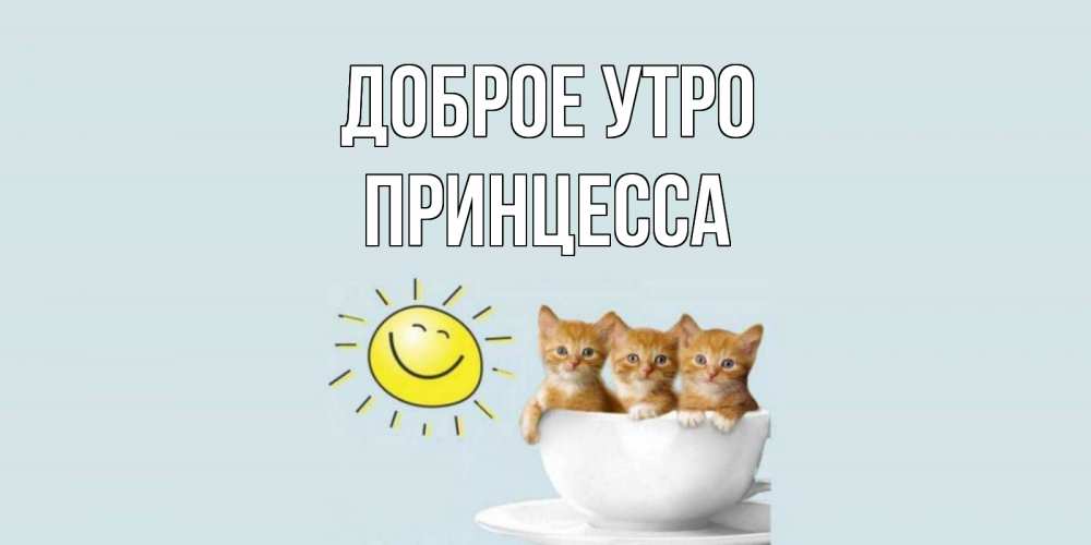 Открытка на каждый день с именем, Принцесса Доброе утро котята Прикольная открытка с пожеланием онлайн скачать бесплатно 