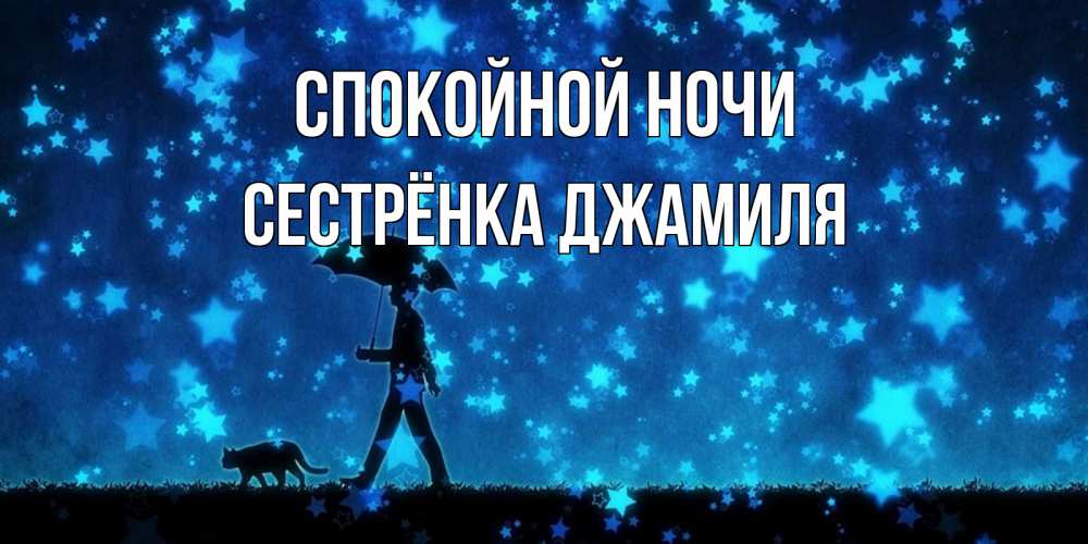 Открытка на каждый день с именем, Сестрёнка-Джамиля Спокойной ночи ночные прогулки с котом под звездами Прикольная открытка с пожеланием онлайн скачать бесплатно 