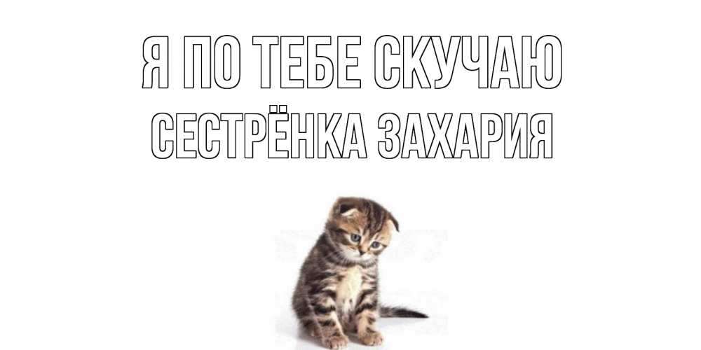 Открытка на каждый день с именем, Сестрёнка-Захария Я по тебе скучаю кот Прикольная открытка с пожеланием онлайн скачать бесплатно 
